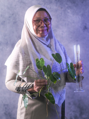  Dra. Hj. Nursyam